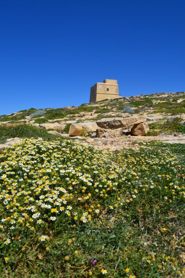 Taljola B&B Għarb Esterno foto